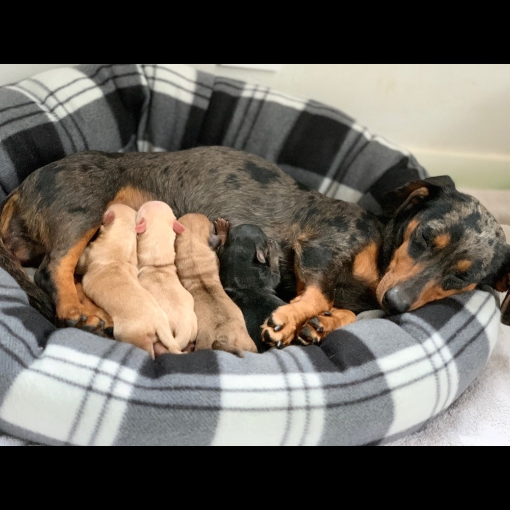 Meet your Posher, Angelina